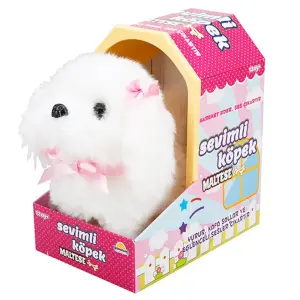 Sevimli Köpek Maltese