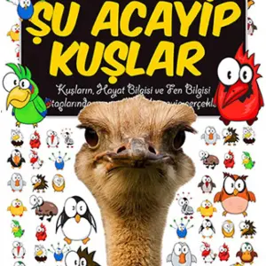 Şu Acayip Kuşlar