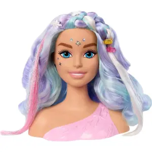 Barbie'nin Renkli Saçlı Büstü ve Aksesuarları HMD82