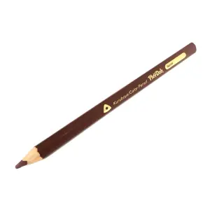 Play-Doh Tekli Üçgen Kuru Boya (Kahverengi)