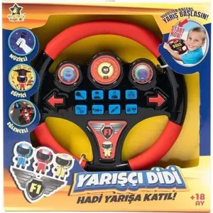 Yarışçı Didi Eğitici Direksiyon