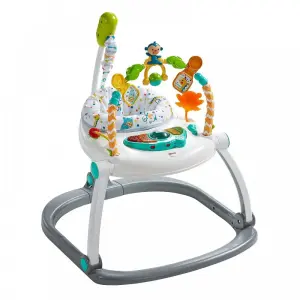 Fisher Price Renk Karnavalı Katlanabilir Jumperoo FDG98